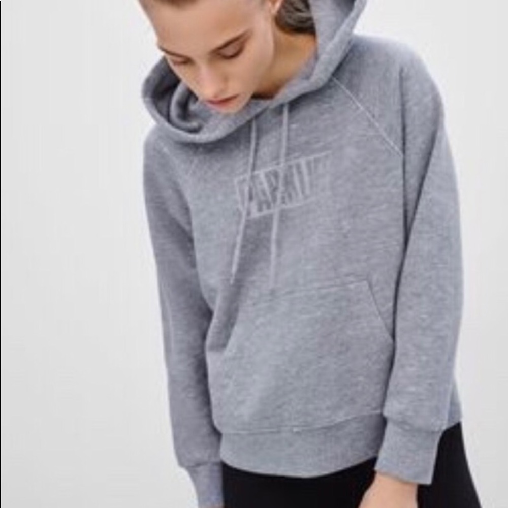 Aritzia Parklife Cropped Reflective Hoodie